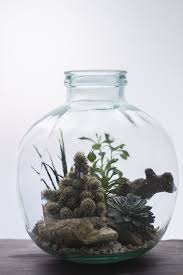 Rustic Green Bottle Terrarium Bottle Terrarium Terrarium Cactus Terrarium