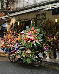Check spelling or type a new query. Weronika Wolska Batonikww Zdjecia I Filmy Na Instagramie Large Flowers Instagram Hanoi