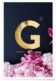 Huge collection, amazing choice, 100+ million high quality, affordable rf and rm images. Flower Alphabet G Poster Juniqe