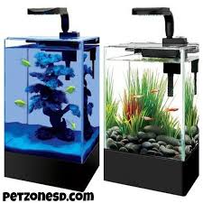 Newly Arrived Desktop Aquarium Nano Tanks For Your Office Or Home Tabletop Desktop Aquarium Aquarium Nano Tank