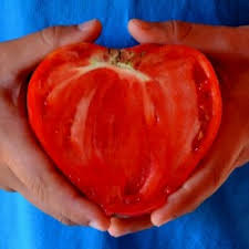 Maybe you would like to learn more about one of these? Tomato Seeds Oxheart Bull S Heart Cena 1 75