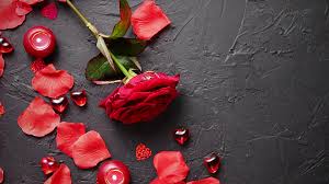 We did not find results for: Love And Valentines Day Concept Red Rose Petals Candles Dating Accessories Boxed Gifts Hearts Sequins On Black Stone Background Frame Composition Top View Layout For Greeting Card Stock Video Footage Storyblocks