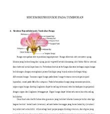 Gambar Struktur Organ Bunga Sempurna Doc Sistem Reproduksi Pada Tumbuhan Hai Tomi Academia Edu Apa Saja Fungsi Dan Bagian Yang Di 2020 Bunga Gambar Menggambar Bunga