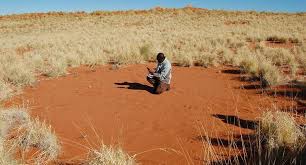 A fairy circle in namibia. Fairy Circles Hallowed Ground