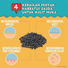Manfaat habbatussauda untuk kesehatan sudah terbukti oleh beberapa penelitian. Habbatus Sauda Atau Jintan Hitam Memang Terkenal Dengan Manfaatnya Untuk Kesihatan Dan Kecantikan Sejak Rihuan Tahun Yang Lalu Minyak Habbatus Sauda Mempunya