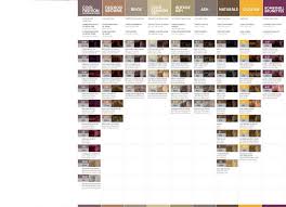 Download Redken Color Chart 02 In 2019 Shades Eq Color