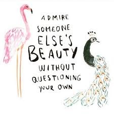 Birds Of The Same Feather Funny Quotes A Feather In The Air Words Inspirational Words Words Quotes