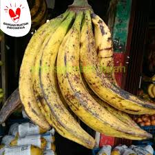Andern bananenarten, aus indien u. Jual Buah Pisang Tanduk Sukabumi Jakarta Barat Sb Sahabat Buah Tokopedia