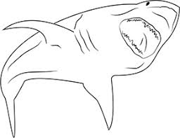 Ausmalbild Aggressiver Hai In 2020 Ausmalen Ausmalbilder Tiere Ausmalbild