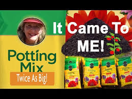 Promotes more beautiful annuals, perennials and vegetables. Home Depot Potting Soil 4 For 10 07 2021