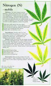 Cannabis Deficiency Guide Marijuana Weed Problems Leafs Yellow Curling Guide Growing Greens Cannabis Marihuana Y Cultivo De Cannabis