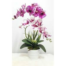 Gubahan bunga orkid ceria untuk hiasan rumah. Free Pos Gubahan Orkid Latex 1 2 Tangkai Shopee Malaysia