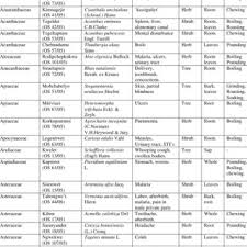 Image result for Agrocharis incognita