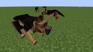 Mod Animalium 1 10 2 1 15 1 Minecraft France Chiens Sauvages Ours Brun Faune