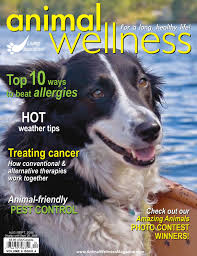 Orkin is the termite control expert. V8i4 Aug Sep 2006 By Redstone Media Group Issuu