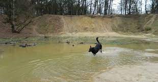 De omgeving vraagt om lange boswandelingen langs vennen. Omhuizen Hattem De Leemkule