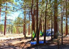 Considered the toughest trail in the big bear area. Big Bear S Gold Fever Off Road Trail