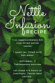Check spelling or type a new query. How To Prepare A Nettle Infusion For Pregnancy And Postpartum Rose Motherhood