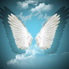 It is not only a free photoshop assistant, but also a source of ideas to try with other pics. 70 Angel Wings Background On Wallpapersafari