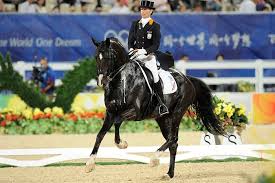 Anky van grunsven of the netherlands rides her horse keltec salinero during the dressage european championships on july 31, 2005 in hagen, germany. Stimmungsvolle Abschiedsparty Fur Salinero