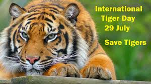 Global tiger day is an annual celebration to raise awareness for tiger conservation, held annually on july 29. International Tiger Day World Report Our Actions Tunza Eco Generation
