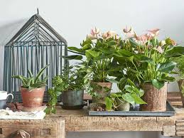 Pin Auf Urban Gardening Inspiration