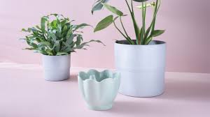 Get it as soon as tue, jun 15. Plant Pots Stands Flower Pots Ikea