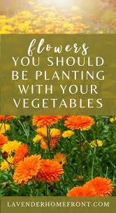 You can plant radishes as soon as you can work the soil in the spring. 9 Flowers You Should Grow In Your Vegetable Garden Garden Plants Vegetable Backyard Vegetable Gardens Vegetable Garden For Beginners