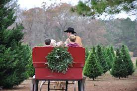 Christmas Tree Farms In The Green Bay Area Echter Weihnachtsbaum Weihnachtsbaum Ideen Weihnachtsbaum