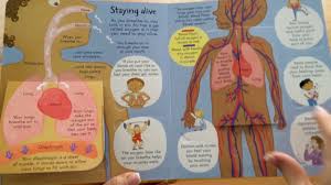 Let's discuss them in more detail. Look Inside Your Body Usborne Youtube
