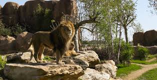 Comment utiliser un code promo zoo beauval ? Le Zooparc De Beauval Loire Et Cher Val De Loire By Gites De France