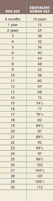 Dog Age Chart Dog Years To Human Years Dog Age Chart Dog Ages Dog Years