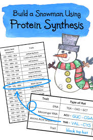 Build A Snowman Christmas Science Lab Activity Using Protein Synthesis Lab Activities Christmas Science Science