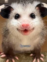 Dolly Leah Neely (@neelydollyleah) • Instagram photos and videos