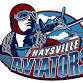 Haysville Aviators Baseball Game