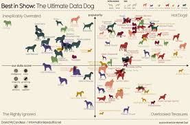 Visual Dog Chart Ranks Dog Breeds According To Data Dumb