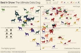 visual dog chart ranks dog breeds according to data dumb