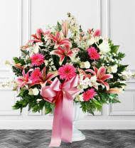 We also provide flower delivery to the surrounding areas, such as, alva, cape coral, estero, fort myers, lehigh acres, north fort myers. Pine Manor Florist Pine Manor Fl Flower Delivery Avas Flowers Shop