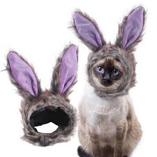 Visland Cat Bunny Rabbit Hat, Soft Skin-friendly Plush Adjustable Fastener  Tape Closure with Purple Ears Pet Costume Headwear for Cat Dog Puppy Kitten  Halloween Party Cosplay - Walmart.com