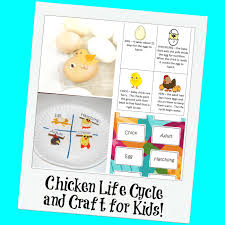 chicken life cycle and a paper plate craft for kids wikki stix paper plate crafts for kids chicken life cycle paper crafts for kids