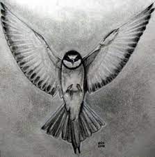 Pin On Animal Drawings