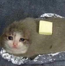 Pin Em Cry Cats Memes