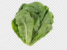 Download collard green stock photos. Vegetables Romaine Lettuce Choy Sum Collard Greens Cabbage Spring Greens Komatsuna Leaf Vegetable Transparent Background Png Clipart Hiclipart
