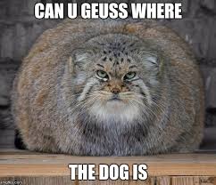 It happens in a duopoly scenario, when two firms compete in a market, and are jockeying to increase their market share over the other, or else simply to increase profit for both of them tacitly. Fat Cats Exercise Imgflip