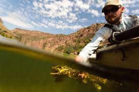 Detailed information for old moe guide service, a fishing guide at flaming gorge national recreation area in northeastern utah. Fly Fishing Green River Green River Fly Fishing Photos