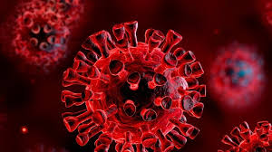 Portugal coronavirus update with statistics and graphs: Portugal Regista Hoje Mais 3 Mortes E 573 Casos De Covid 19