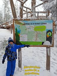 Polscy inżynierowie stworzyli solidną konstrukcję. Wieza Widokowa Krynica Wieza W Koronach Drzew Atrakcyjne Wakacje I Czas Wolny Z Dzieckiem