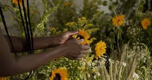 Check spelling or type a new query. 10 000 Best Pick Flowers Videos 100 Free Download Pexels Stock Videos