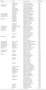 Image result for Adenia mossambicensis