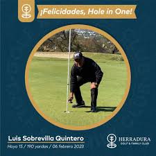 Hole In One